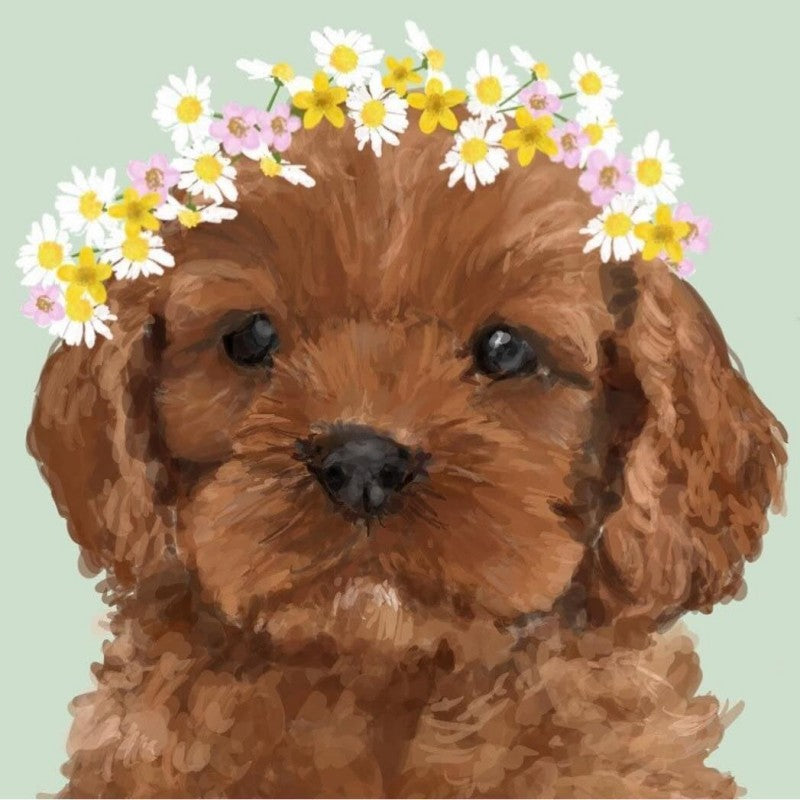 Cavapoo Dog | Diamond Painting