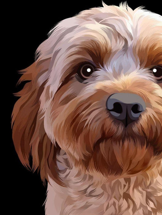 Havanese Dog | Diamond Painting