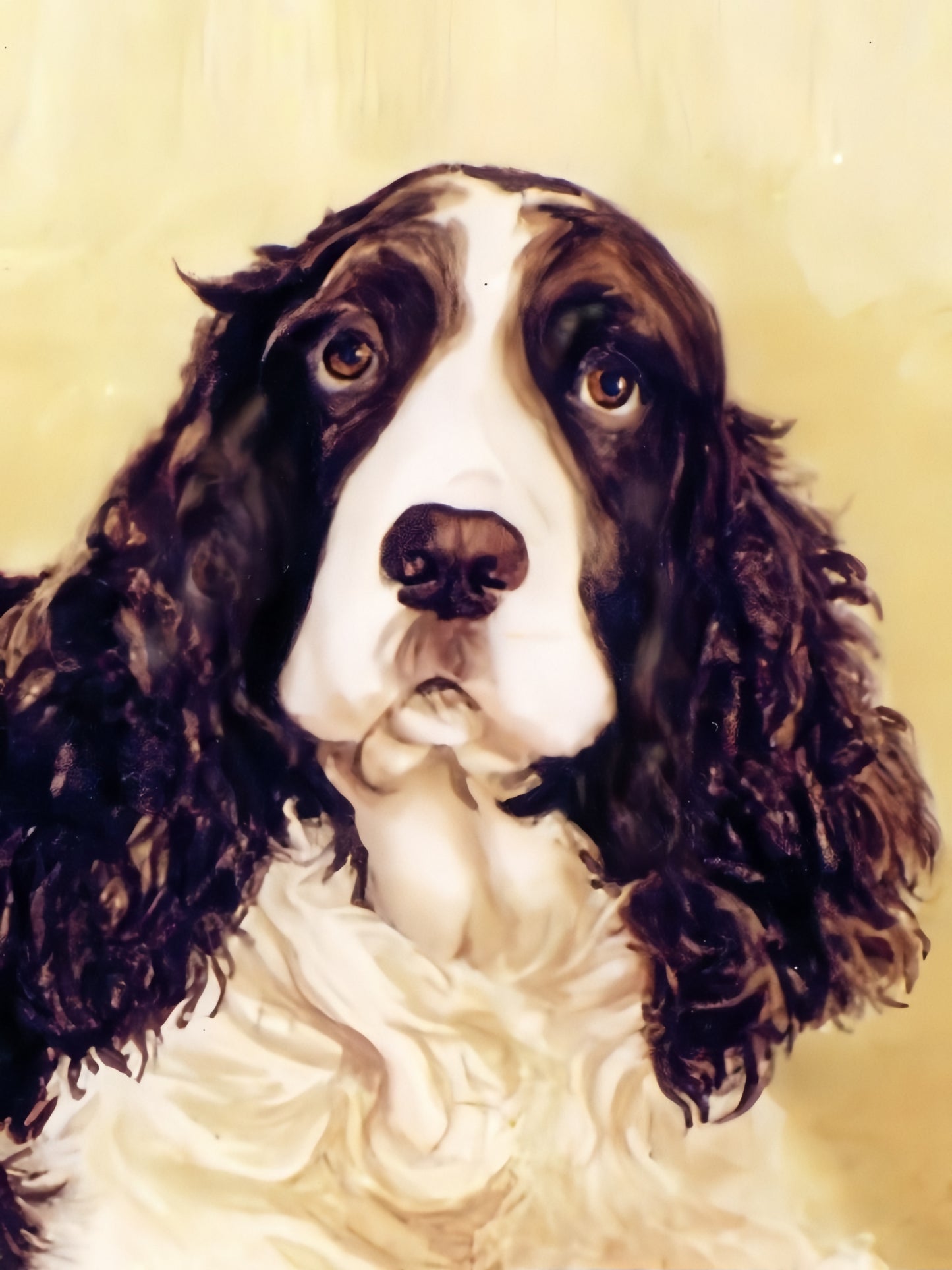 English Springer Spaniel Dog | Diamond Painting