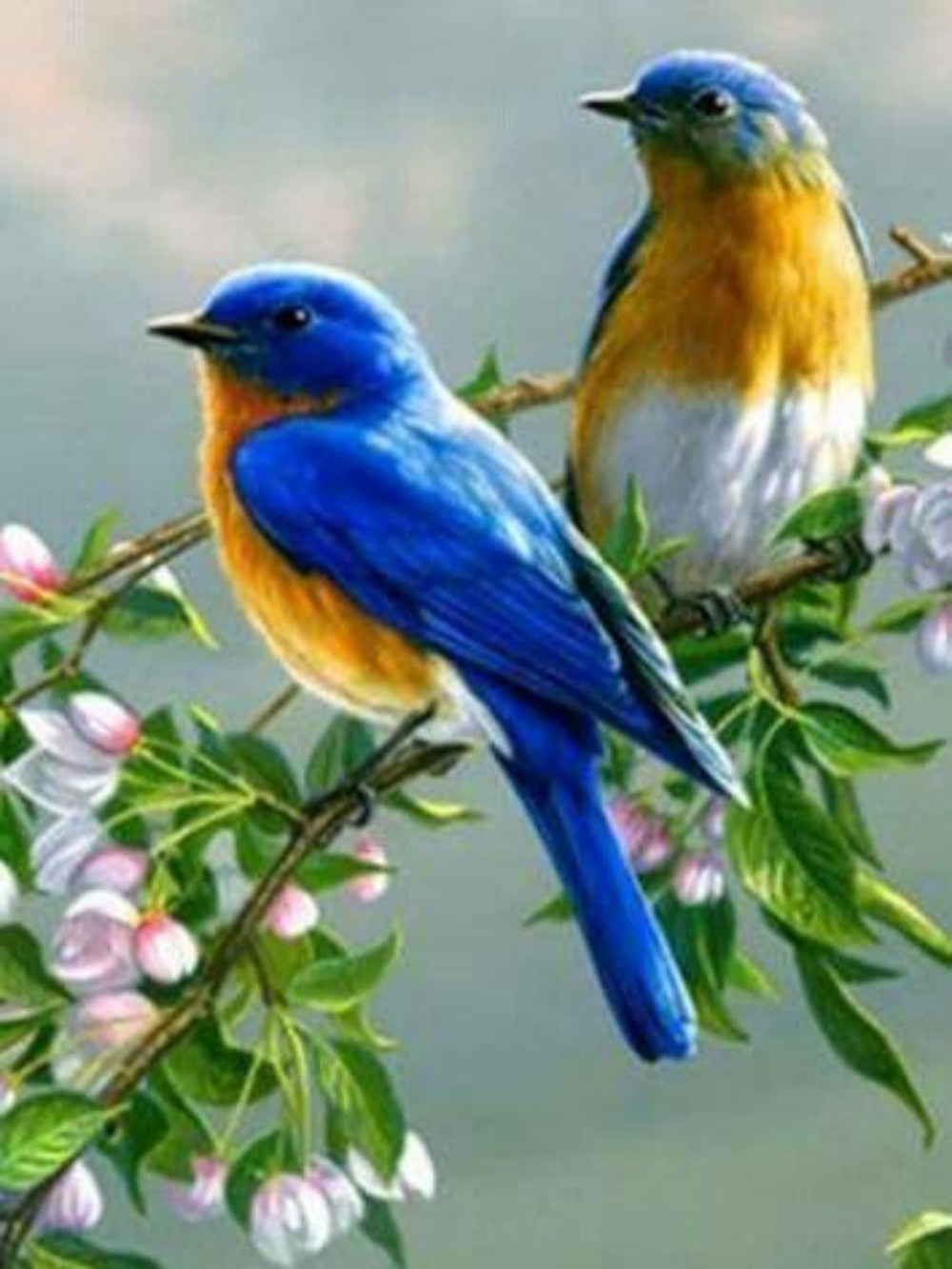 Birds and Flowers | Diamond Painting