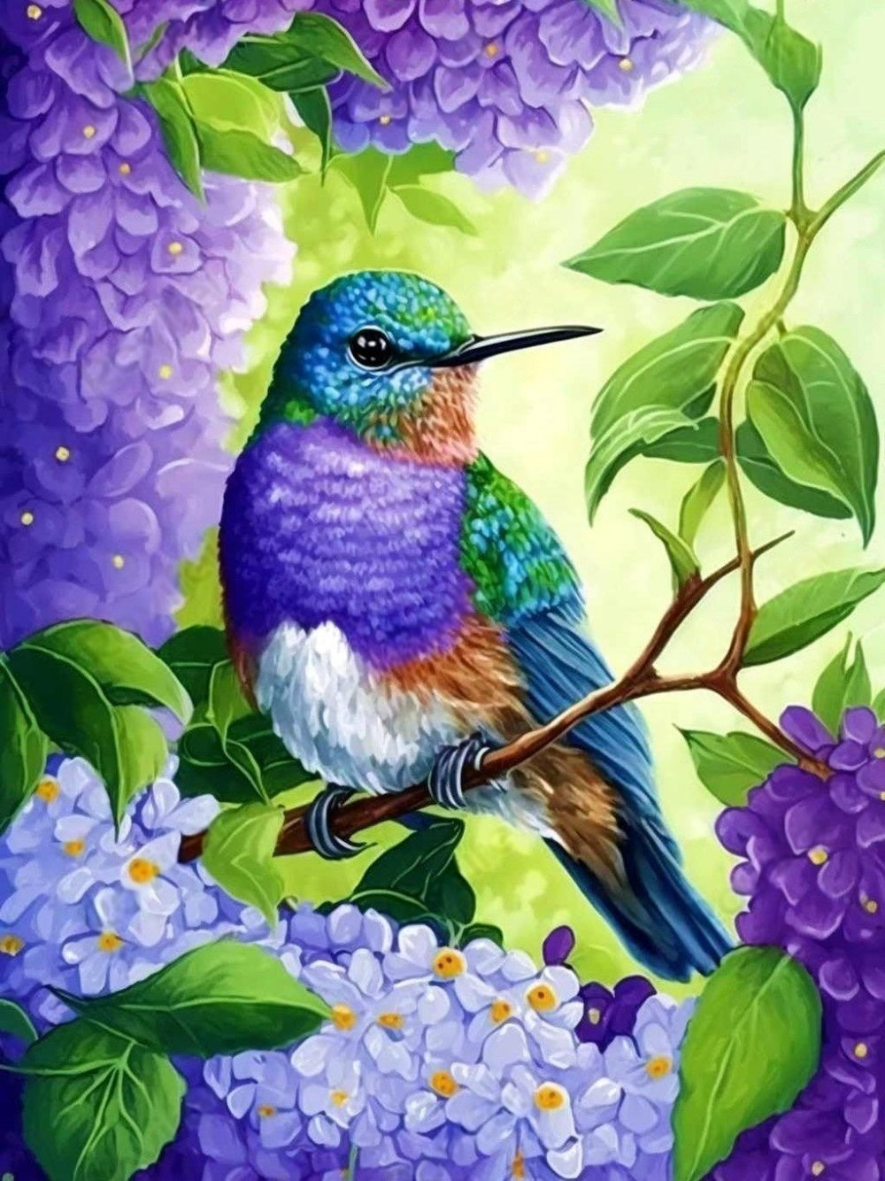 Hummingbird | Diamond Painting