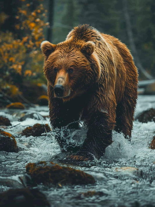 Brown Bear | Diamond Painting