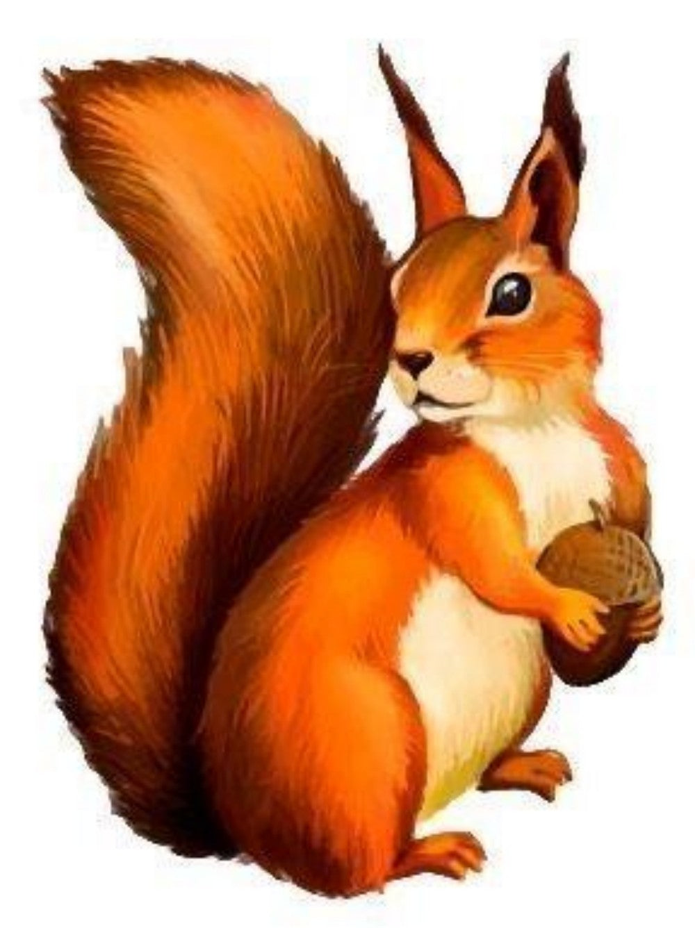 Squirrel | Diamond Painting