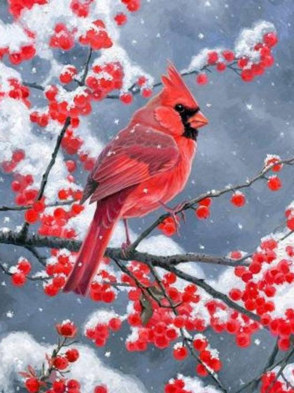 Cardinal | Diamond Painting