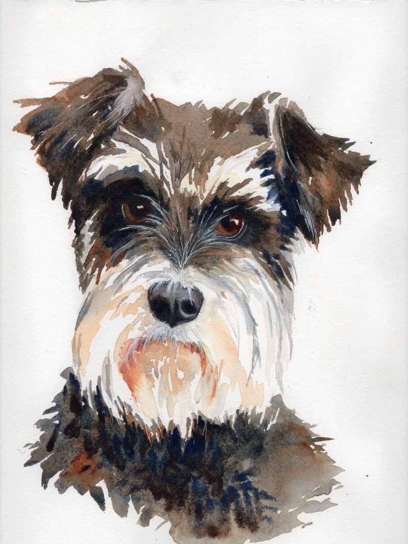 Dog Schnauzer | Diamond Painting