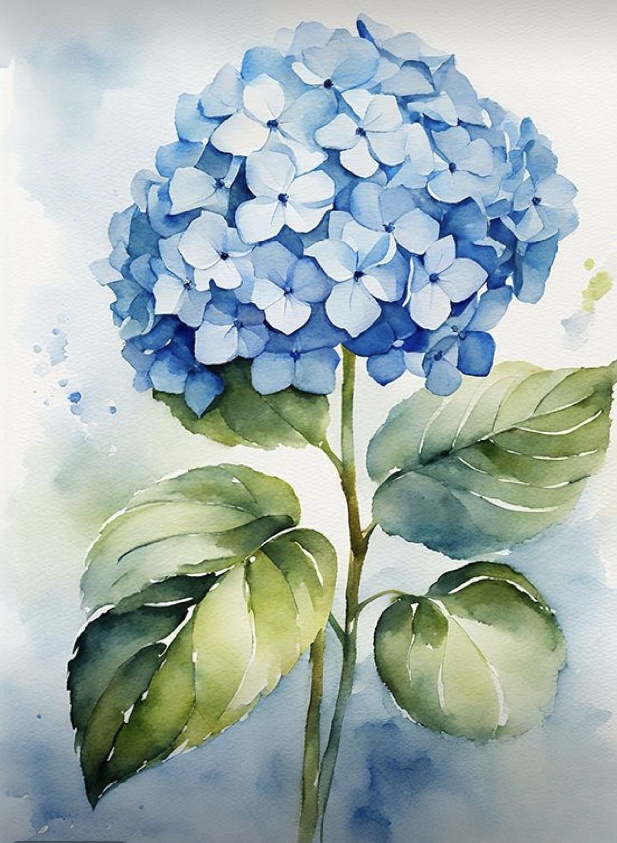 Hydrangea | Diamond Painting