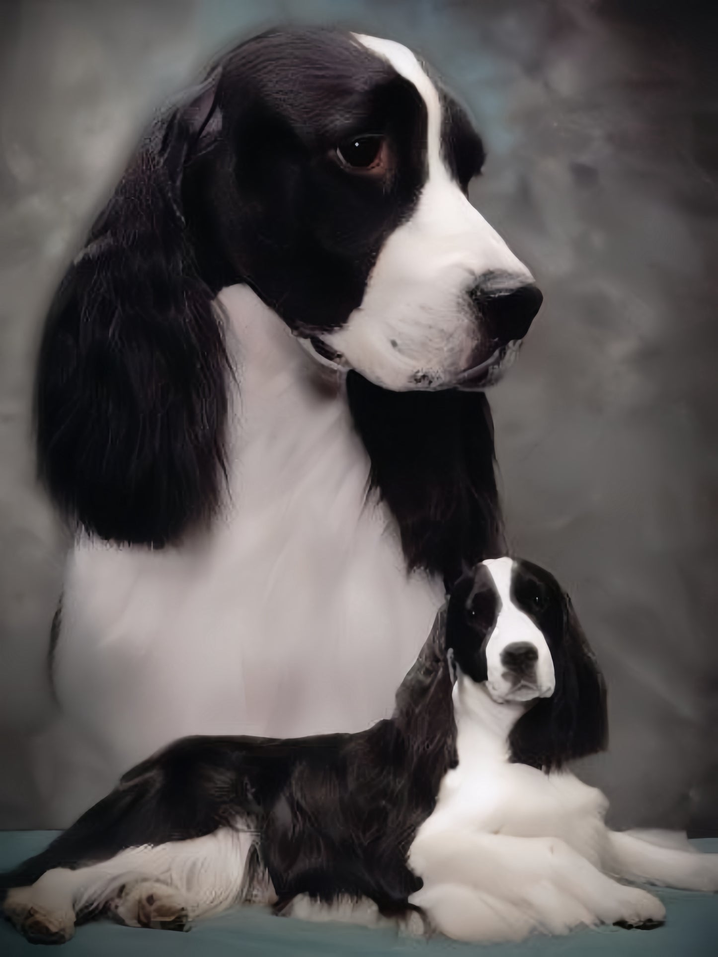 English Springer Spaniel Dog | Diamond Painting