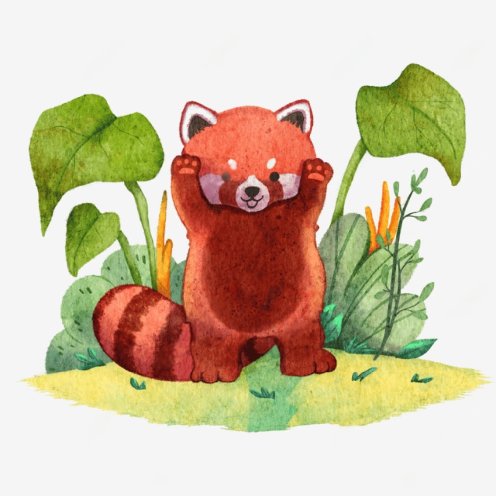 Red Panda | Diamond Painting