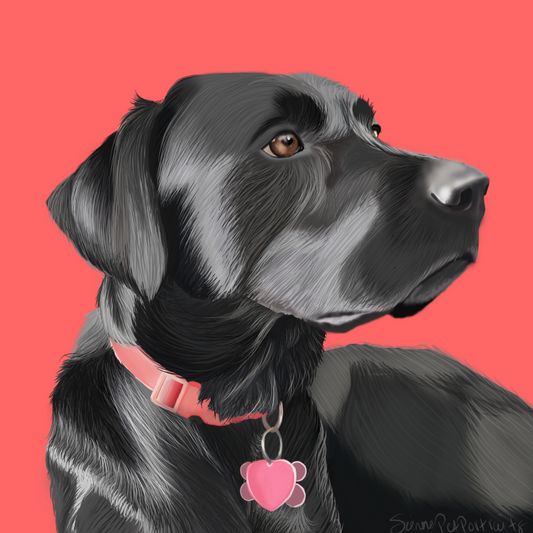 Black Labrador Dog | Diamond Painting
