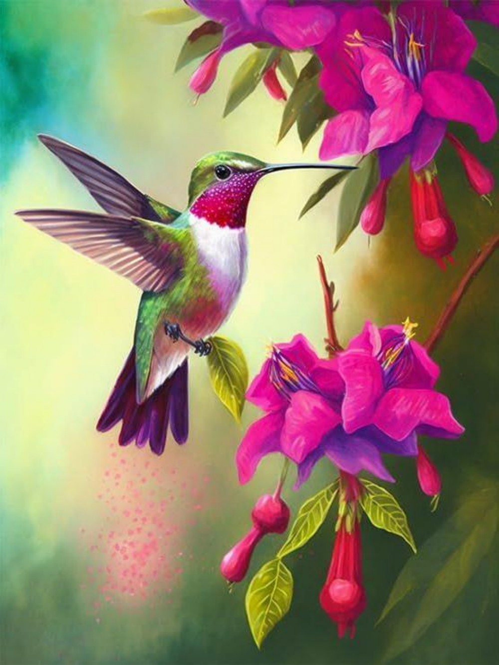 Hummingbird | Diamond Painting