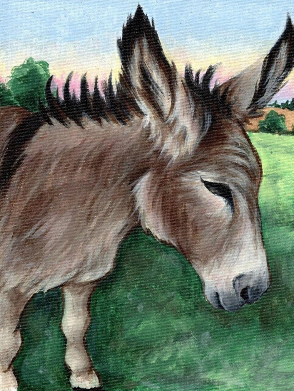 Donkey | Diamond Painting