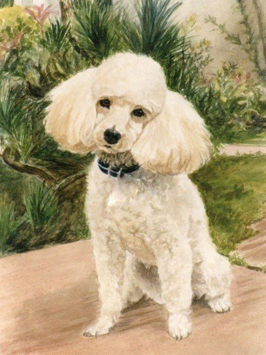 Poodle Dog | Diamond Painting