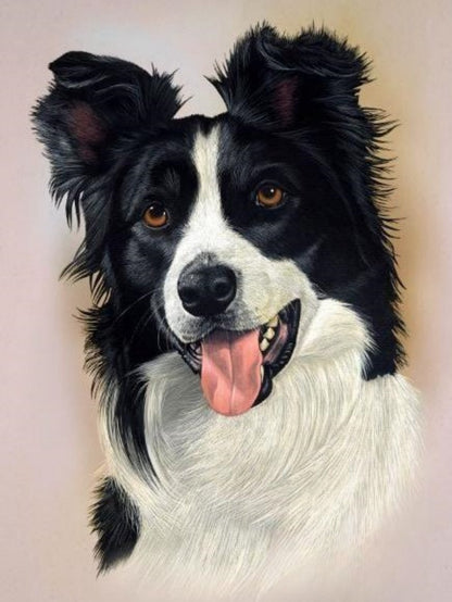 Dog Border Collie | Diamond Painting