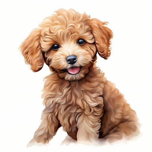 Poodle Dog | Diamond Painting