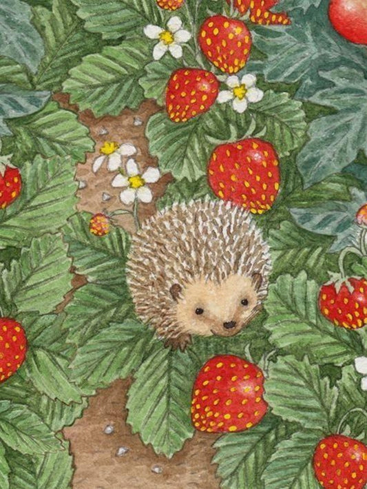 Hedgehog | Diamond Painting