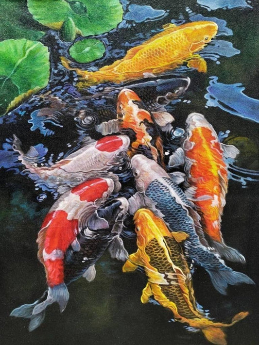 Koi Fish | Diamond Painting