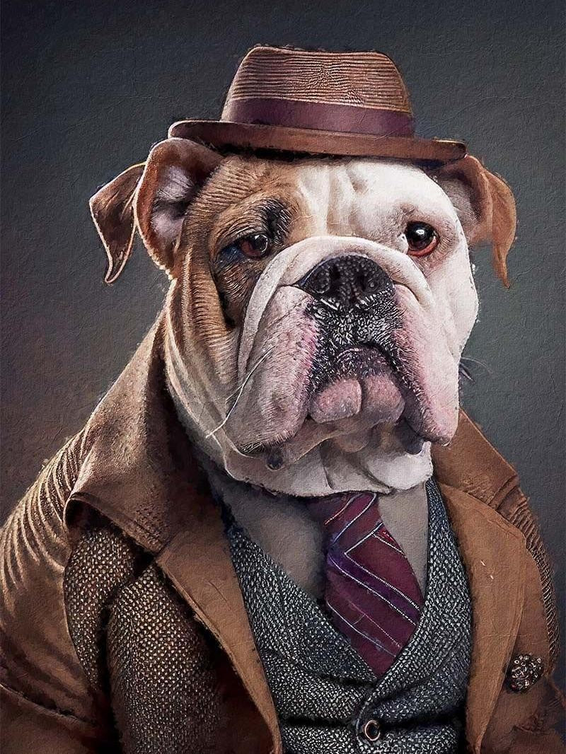 Dog English Bulldog | Diamond Painting