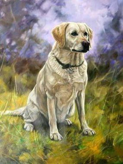 Yellow Labrador Dog | Diamond Painting