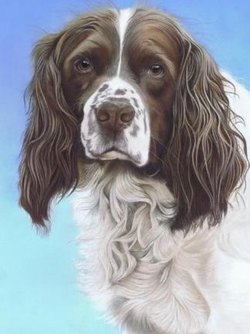 English Springer Spaniel Dog | Diamond Painting