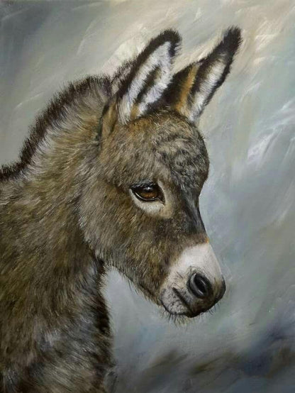 Donkey | Diamond Painting