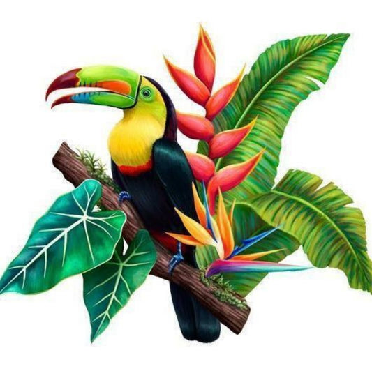 Toucan Bird | Diamond Painting