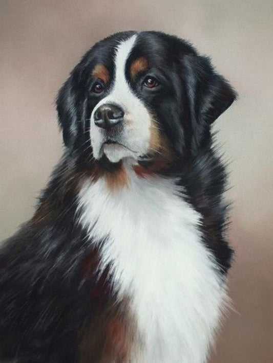 Bernese Mountain Dog | Diamond Painting