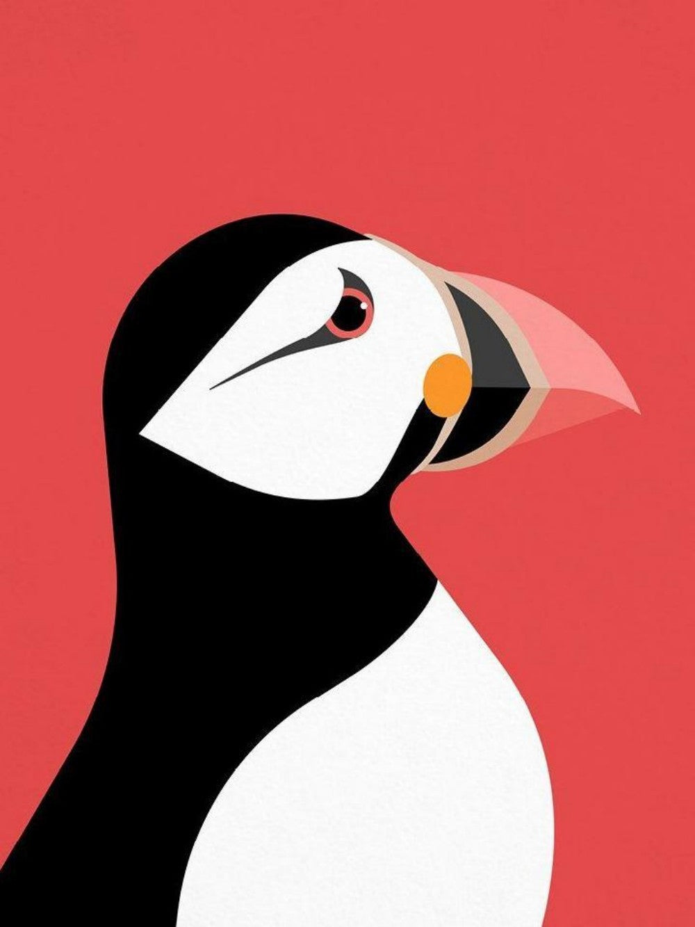 Puffin | Diamond Painting