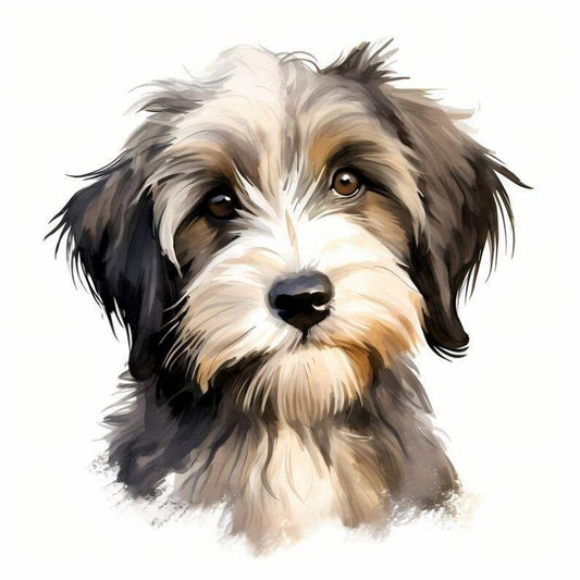Havanese Dog | Diamond Painting