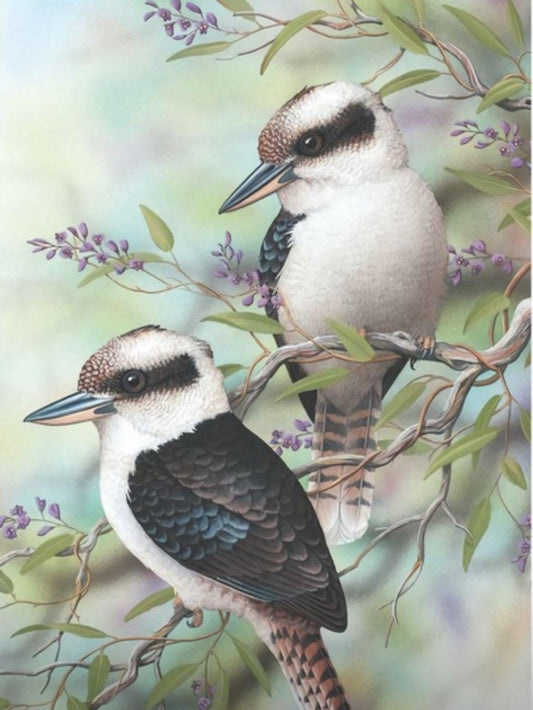 Kookaburra | Diamond Painting