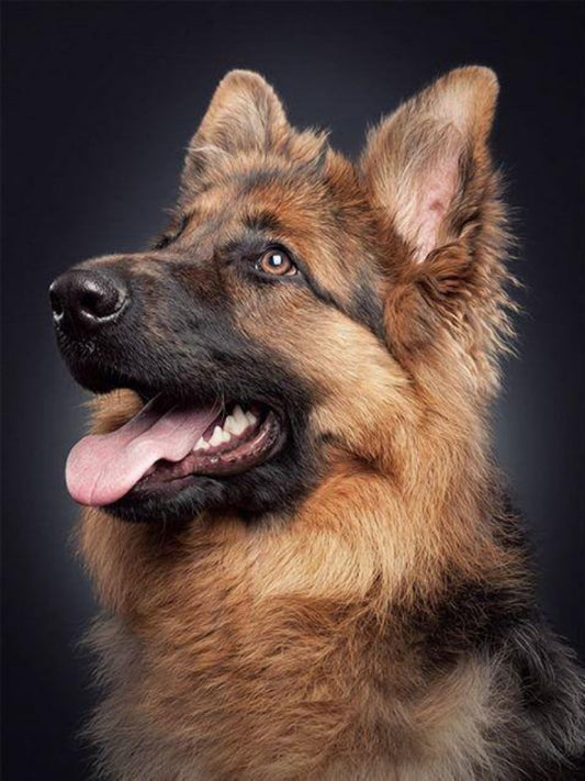 Dog German Shepherd | Diamond Painting