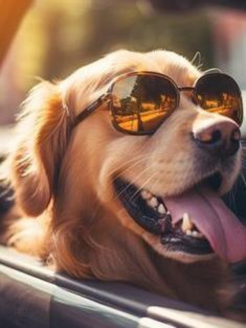 Yellow Labrador Dog | Diamond Painting