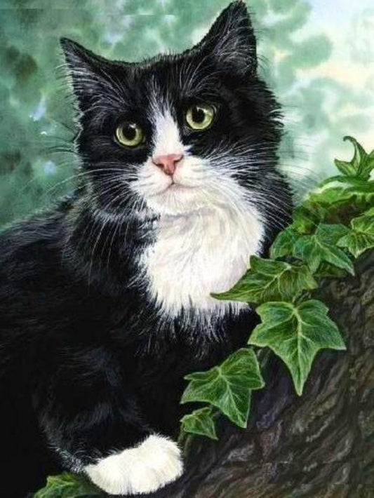 Tuxedo Cat  | Diamond Painting