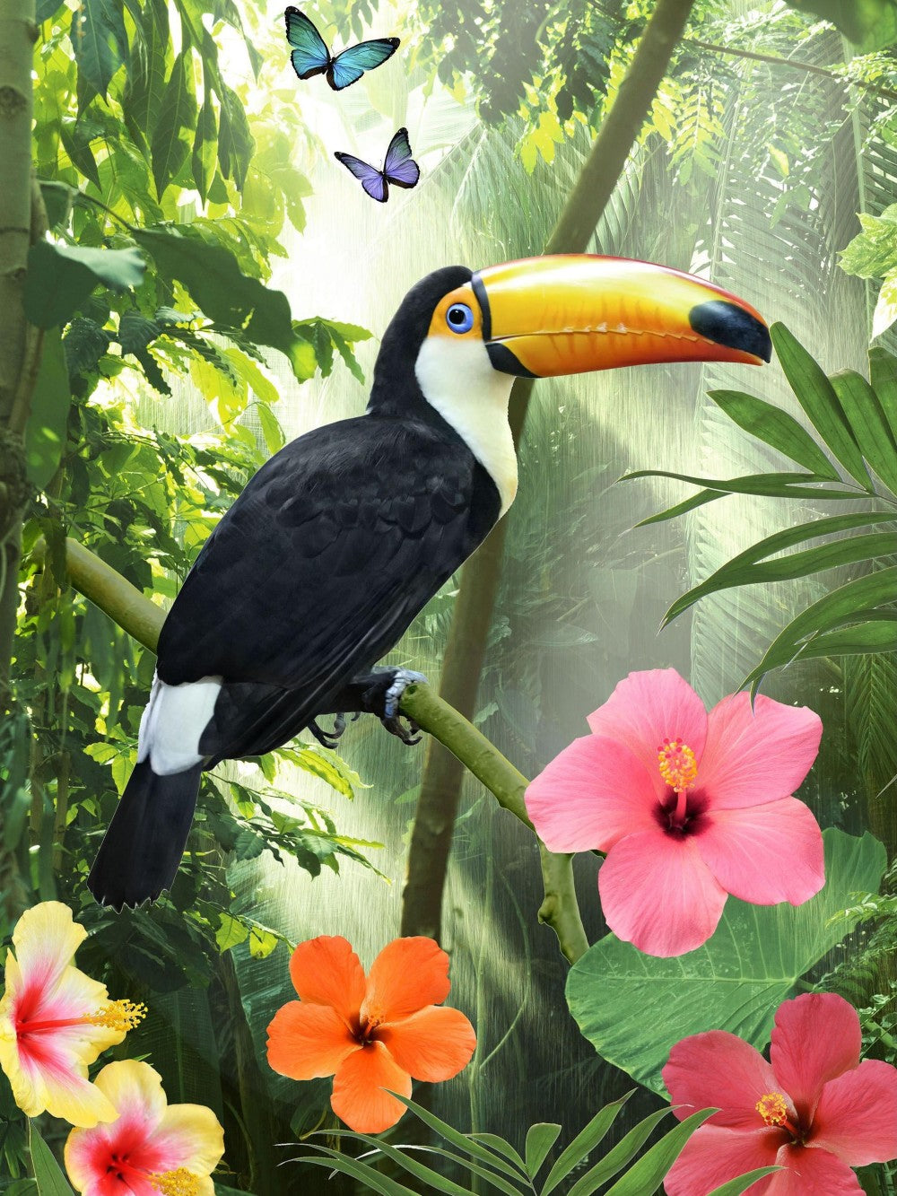 Toucan Bird | Diamond Painting