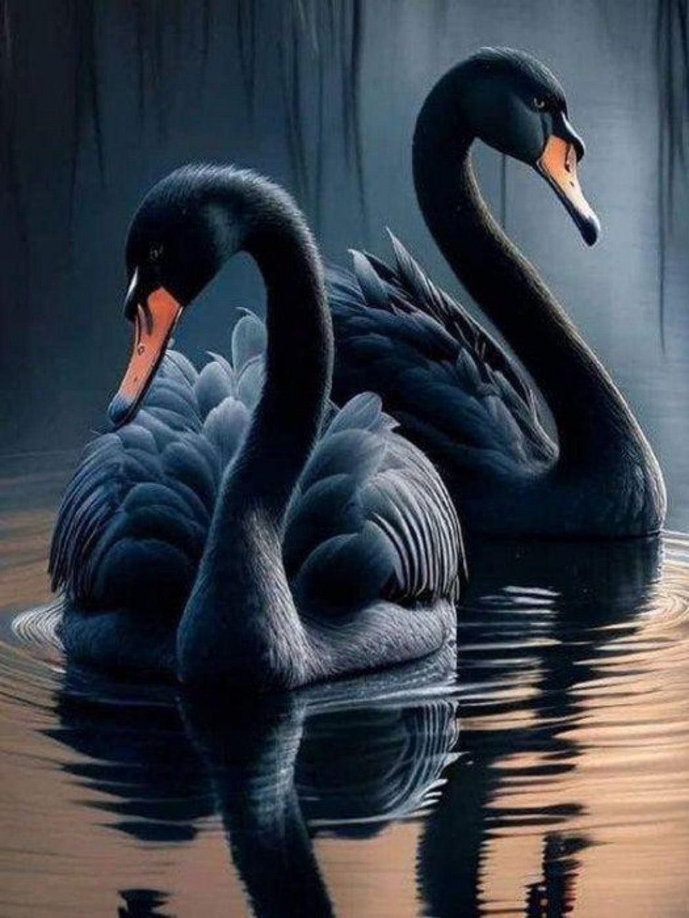 Swan | Diamond Painting