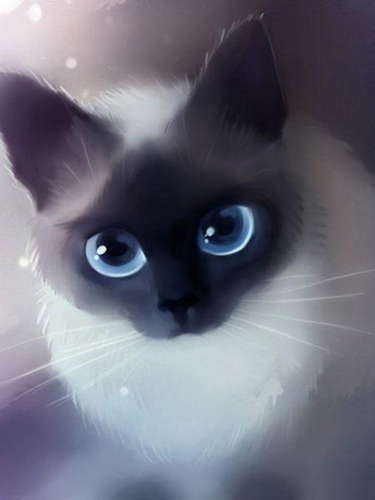 Siamese Cat | Diamond Painting