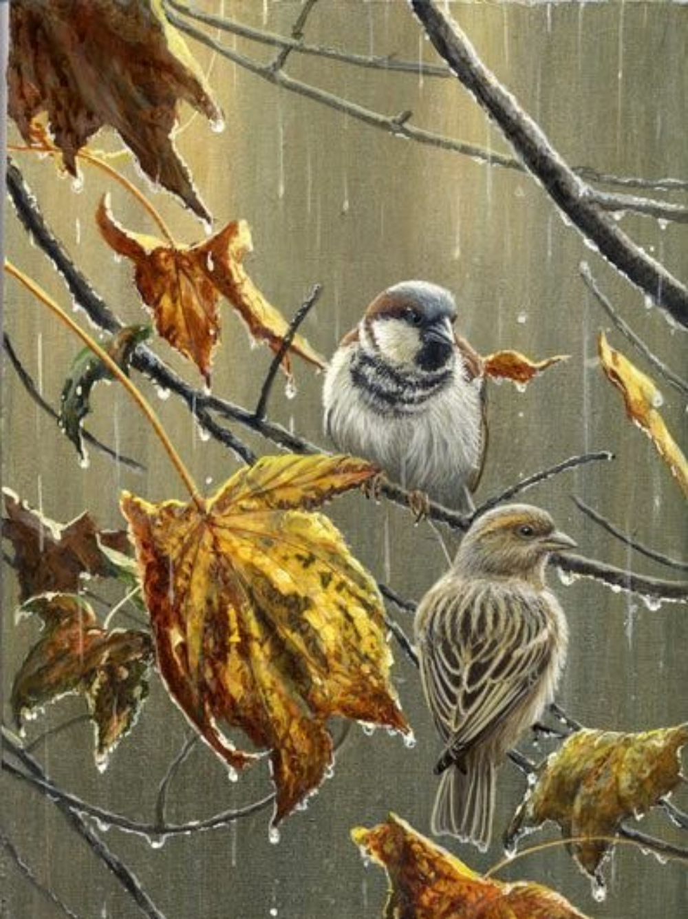 Chickadee | Diamond Painting