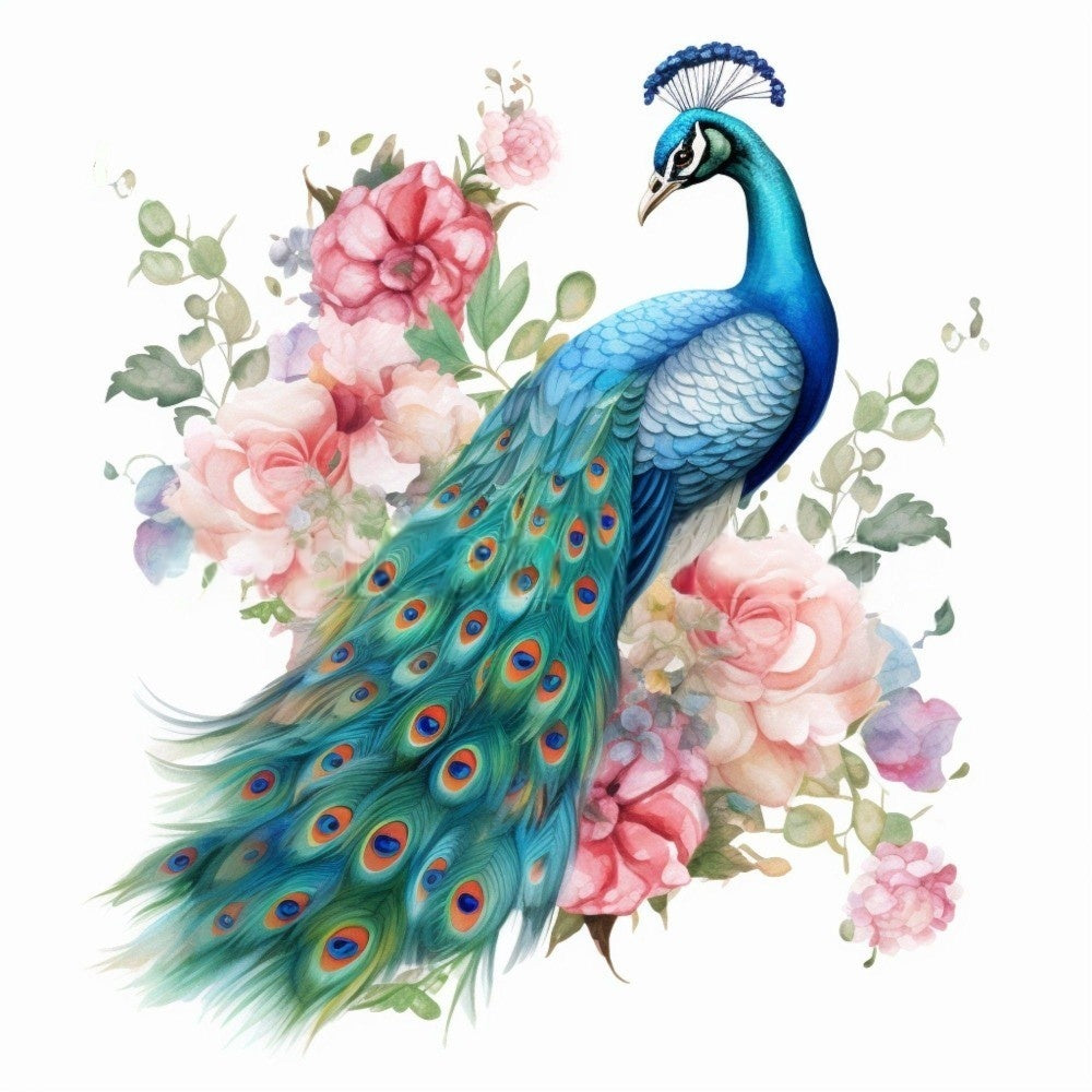 Peacock | Diamond Painting