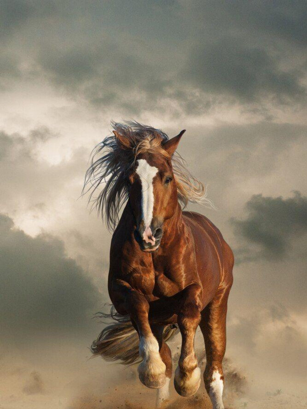 Horse | Diamond Painting