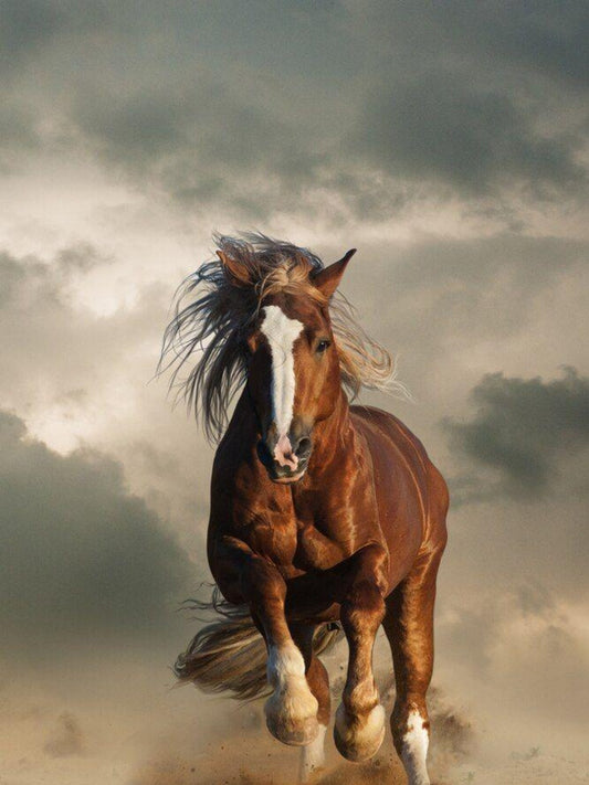 Horse | Diamond Painting