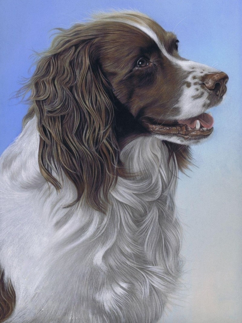 English Springer Spaniel Dog | Diamond Painting