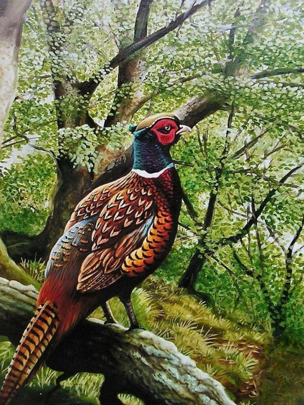 Pheasant | Diamond Painting