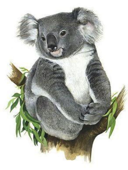 Koala | Diamond Painting