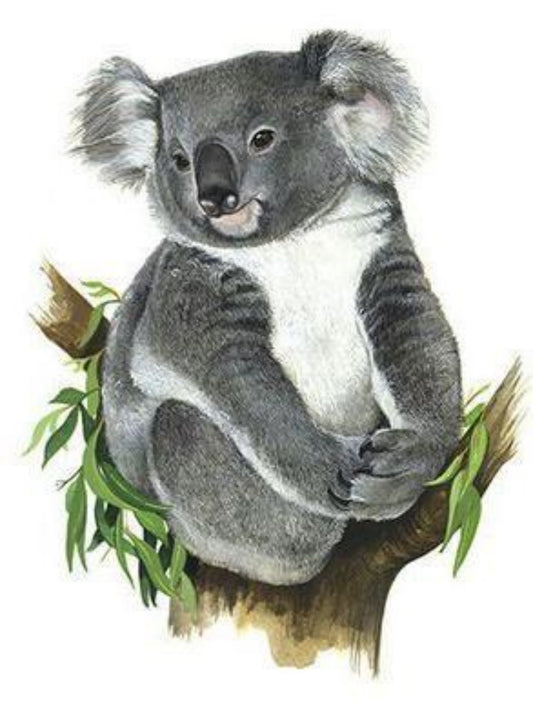 Koala | Diamond Painting
