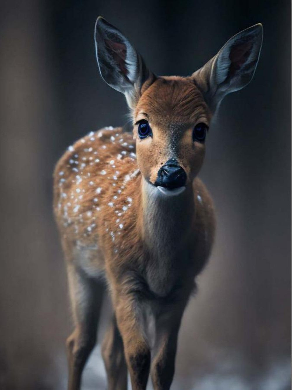 Deer | Diamond Painting