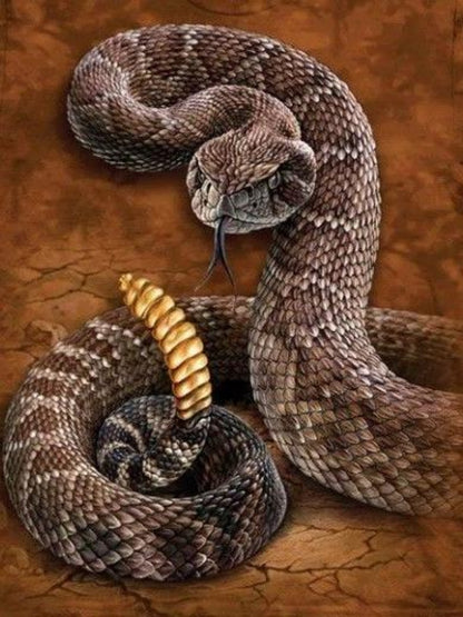 Rattlesnake | Diamond Painting