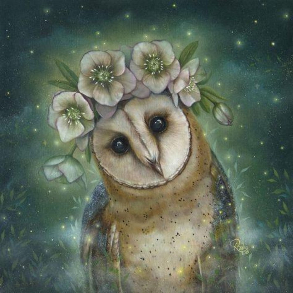 Barn Owl | Diamond Painting