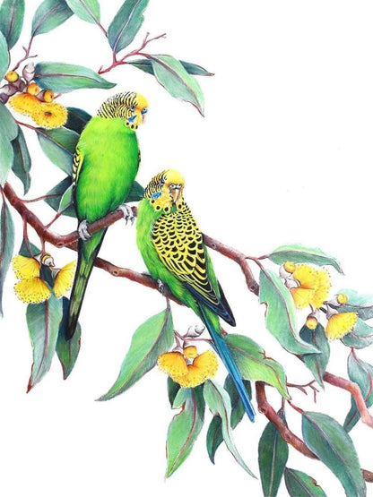 Budgie | Diamond Painting