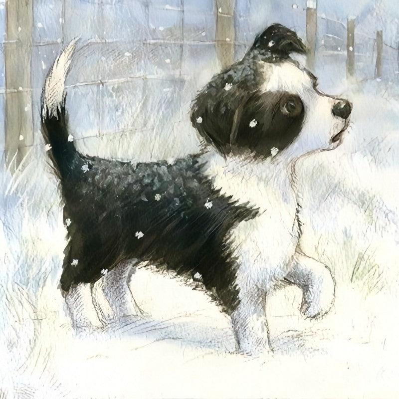 Dog Border Collie | Diamond Painting