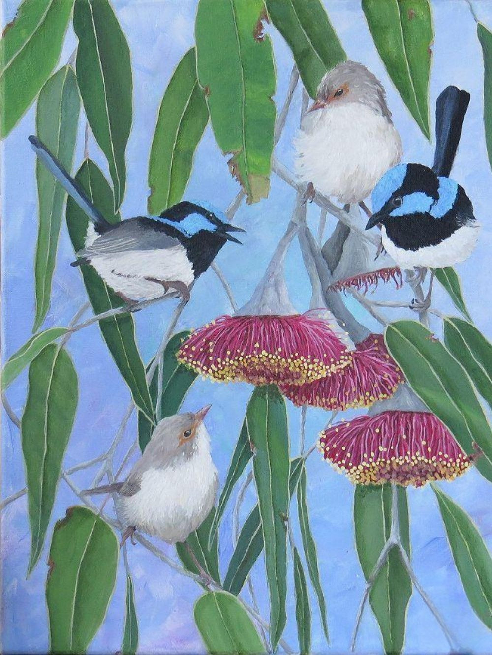 Blue Wren | Diamond Painting