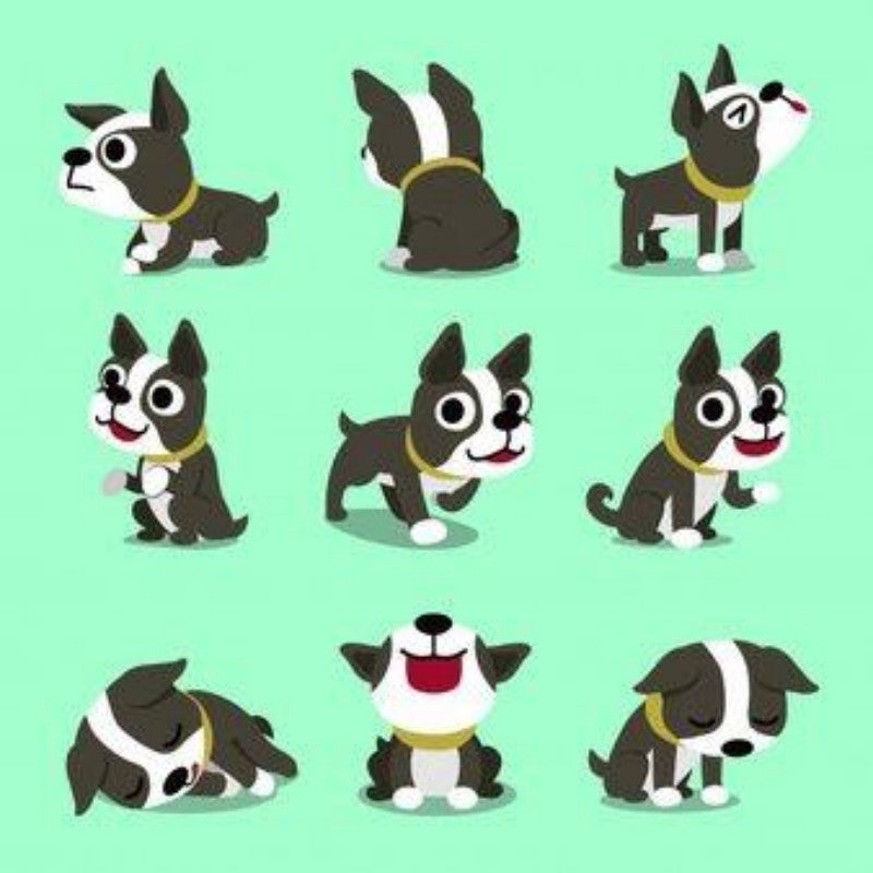 Boston Terrier Dog | Diamond Painting